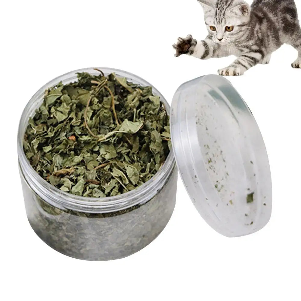 Natural Catnip Organic Premium Catmints Cat Toy Cataria For Eliminating Cats Hairballs Absorbing Foods Vitamin Supplement