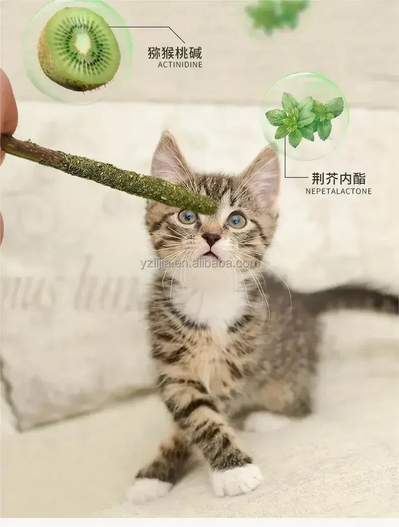 6 natural cat sticks, mint scratching and biting excitement sticks, silver vine cat teeth cleaning and treatment,cat toys