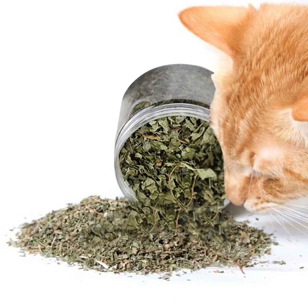 Natural Catnip Organic Premium Catmints Cat Toy Cataria For Eliminating Cats Hairballs Absorbing Foods Vitamin Supplement