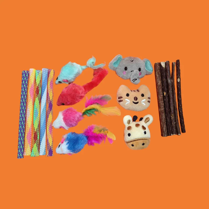 Pet Plush Toy Set Cat Toy With Catmint Kitten Plush Catnip Toy With Scent Cat Mini Catnip Toy Teeth Chewing Grinding Pet Supply