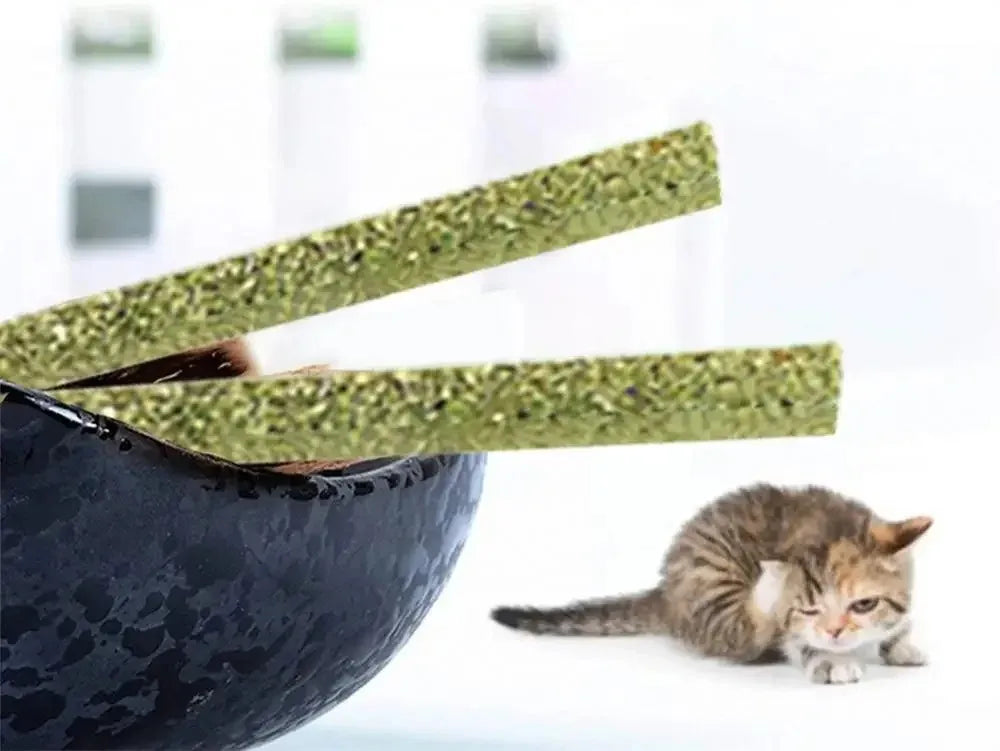 6pcs Natural Matatabi Cat Stick Mint Caught Bite Excited Rods Silvervine For Cat Teeth Cleaning Treating Pet Supply Cat Toys