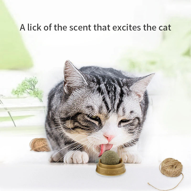 Natural Cat Mint Toy Pet Spinning Ball Cat Mint Sugar Grass Licking Cat Snacks Clean Teeth, Promote Gastrointestinal Digestion