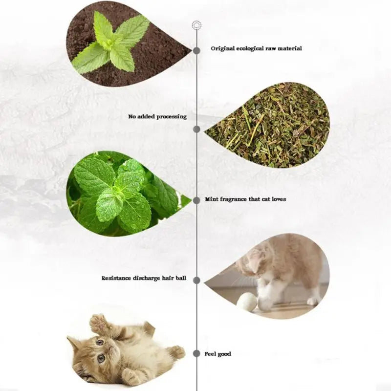 Premium Natural Catnip Leaves for Cat, Mint Treats, Pet, Kitten D, Selected for Fresh, 10g, 20g, 30g