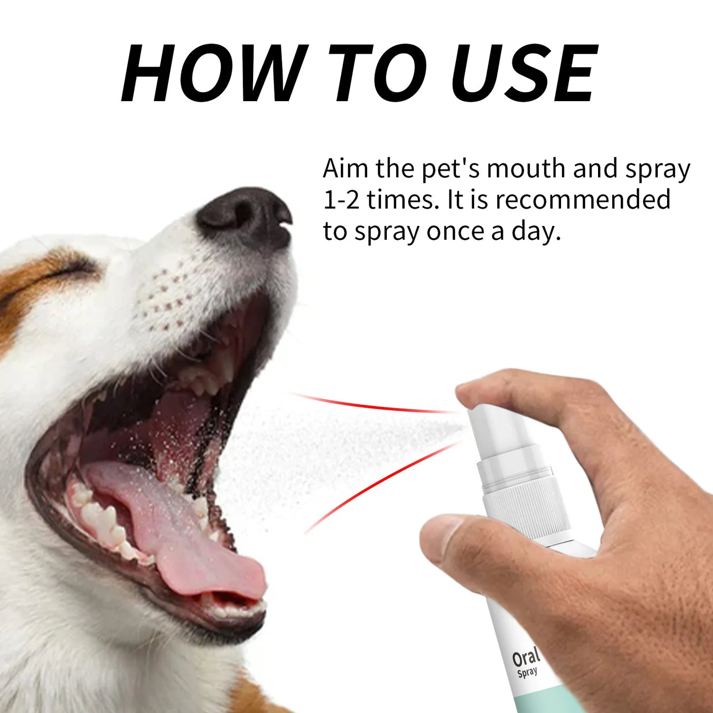 Mint Pet Dental Spray, Instantly Freshens Your Pet's Breath: Brushless Dental Spray for Dogs and Cat to Keep Their Teeth Healthy