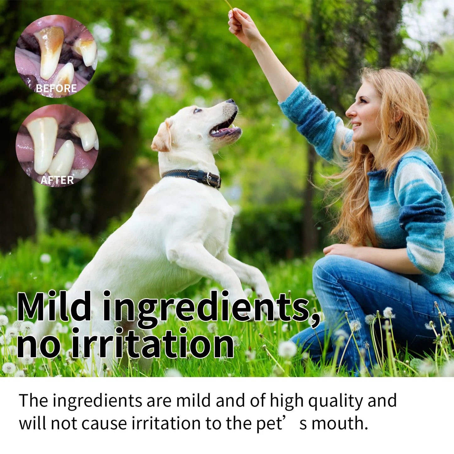 Mint Pet Dental Spray, Instantly Freshens Your Pet's Breath: Brushless Dental Spray for Dogs and Cat to Keep Their Teeth Healthy