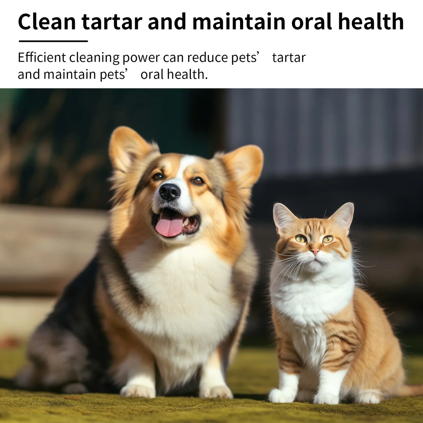 Mint Pet Dental Spray, Instantly Freshens Your Pet's Breath: Brushless Dental Spray for Dogs and Cat to Keep Their Teeth Healthy