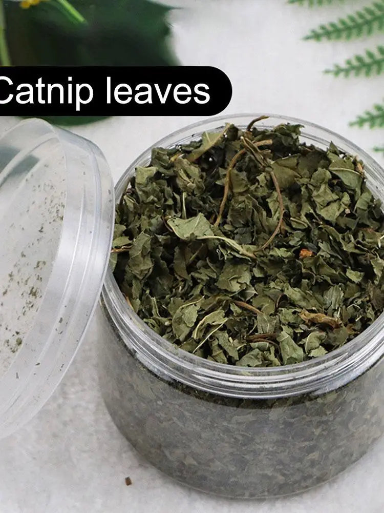 Natural Catnip Organic Premium Catmints Cat Toy Cataria For Eliminating Cats Hairballs Absorbing Foods Vitamin Supplement