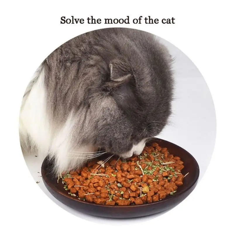 Premium Natural Catnip Leaves for Cat, Mint Treats, Pet, Kitten D, Selected for Fresh, 10g, 20g, 30g