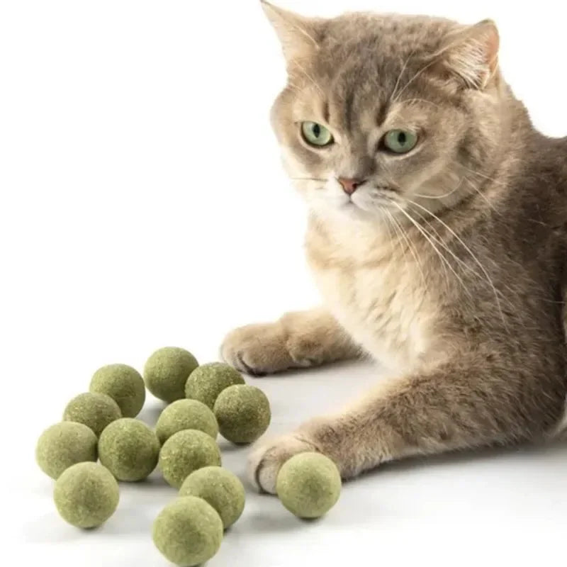 10 Pcs 15mm Healthy Natural Mint Ball Catnip Ball Playing Toy Molars Supplies Pet Snacks Cat Supplies